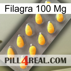 Filagra 100Mg cialis1